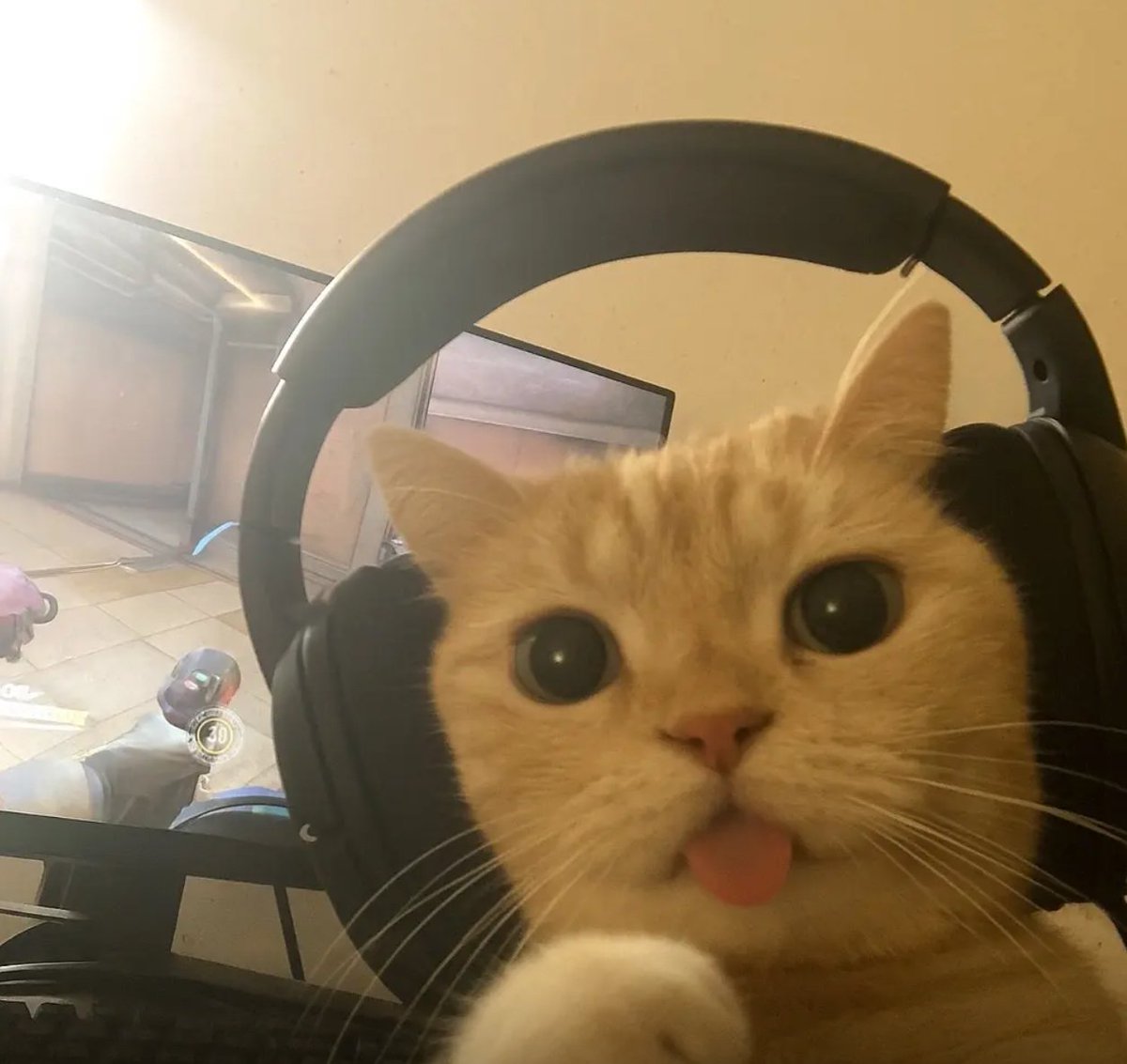 黄推福利内容 - Big叔的精彩图片 福利姬Big叔分享的黄推图片1 - 网红私拍内容