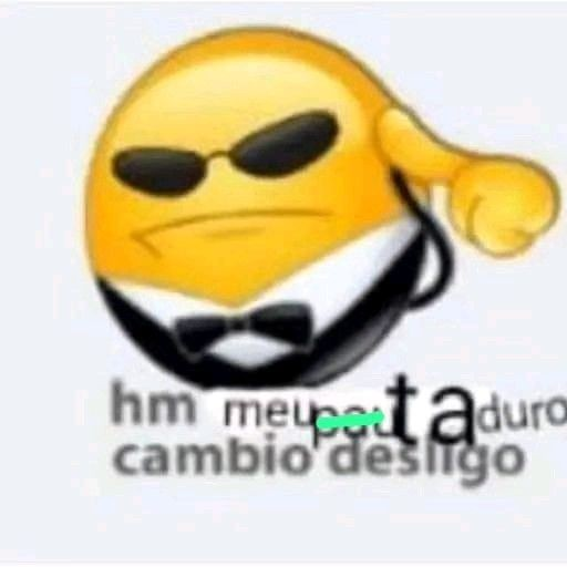 perfil dedicado a gatinhos e peitos tweet media