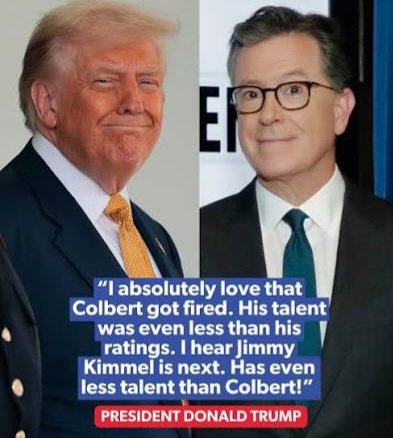 ThatFormerBrit's tweet image. 1 of my Belgians, on a runner whilst I was installing a water filtration system. Some bloke let his pit run free and they fought each other. 5k surgery. I dealt with the pit and off to hospital we go. I cheered up after the vet mentioned @StephenAtHome is out. Whinging c*nt he is