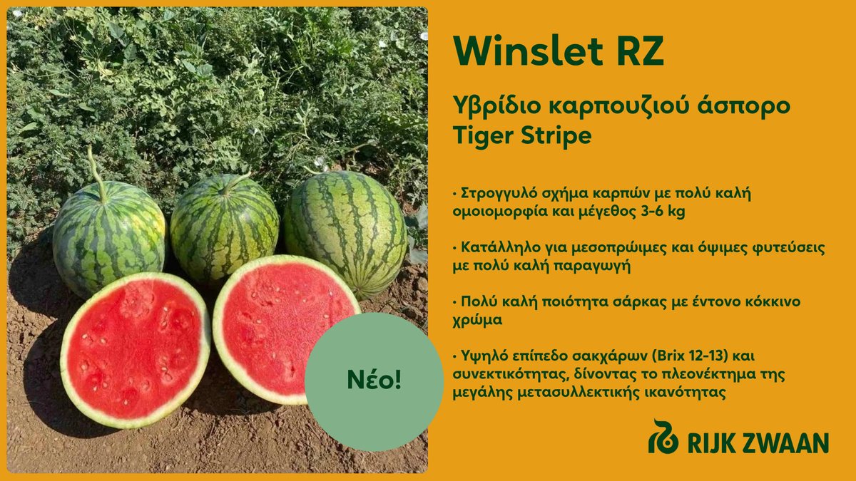 Rijk Zwaan Hellas (@rzhellas) on Twitter photo 