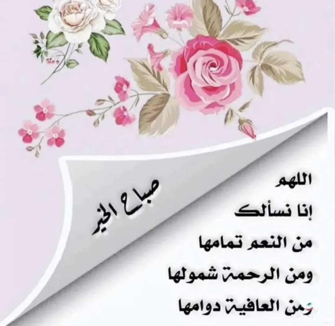 Alajmi__A's tweet photo. *﴿لَئِنْ شَكَرْتُمْ لَأَزِيدَنَّكُمْ﴾*

الحمدُلله على ما ذهـب 
الحمدُلله على ما بقـــى 
ال��مدلله على ما سيأتي
الحمدُلله دائمًـا و أبــدًا

🌺صباح الخير 🌺 https://t.co/7p0jfyD4XV