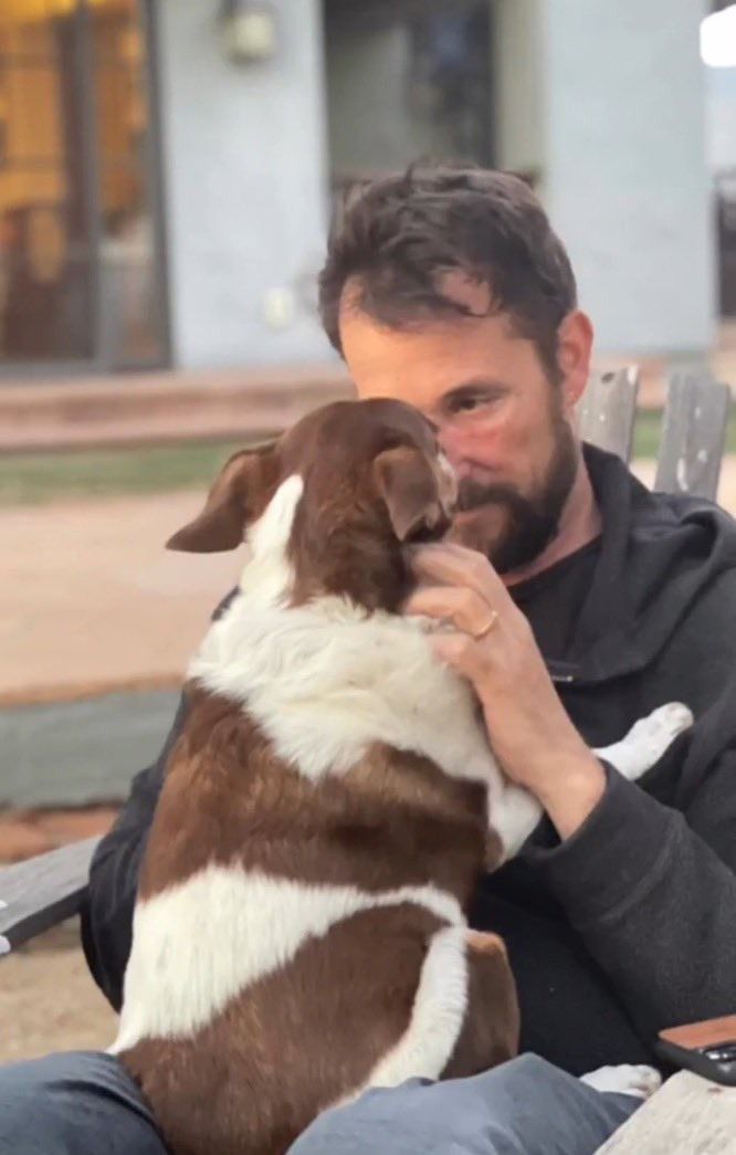 I would like to bless you timeline with Noah and dogo