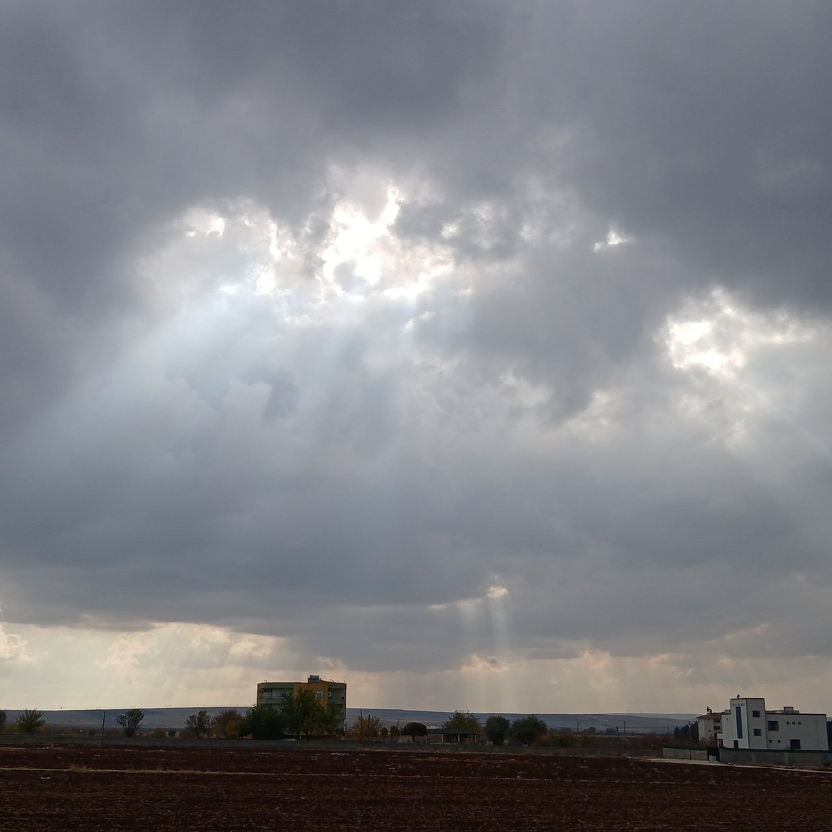 Tek değiştirebileceğiniz kendinizsiniz ama bazen bu, her şeyi değiştirir...

Rojbaş ☕️🌺