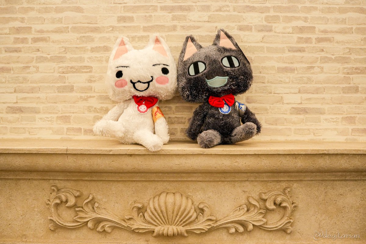 あやねこ あやねこ (@degitarian) / Posts / X