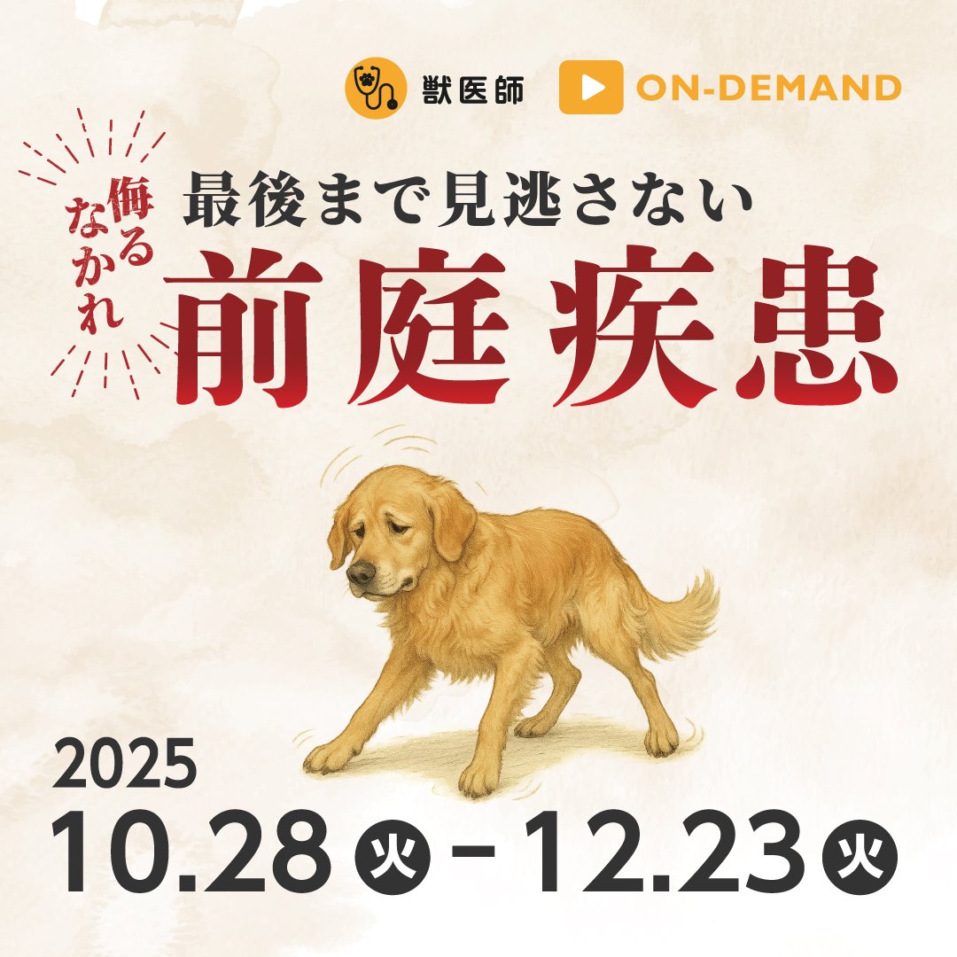 EDUWARD_Press's tweet photo. 配信中！
＼🔔「インフォームドコンセントに役立つ」／
「侮るなかれ【最後まで見逃さない】前庭疾患」
▼ 詳しくみる
https://t.co/Cc3HRzBA9w

■講師
中野 有希子先生
ER八王子 動物高度医療救命救急センター

#獣医師 #愛玩動物看護師 #前庭疾患 #EDUWARDPress #エデュワードプレス https://t.co/zlSuOXlsHN