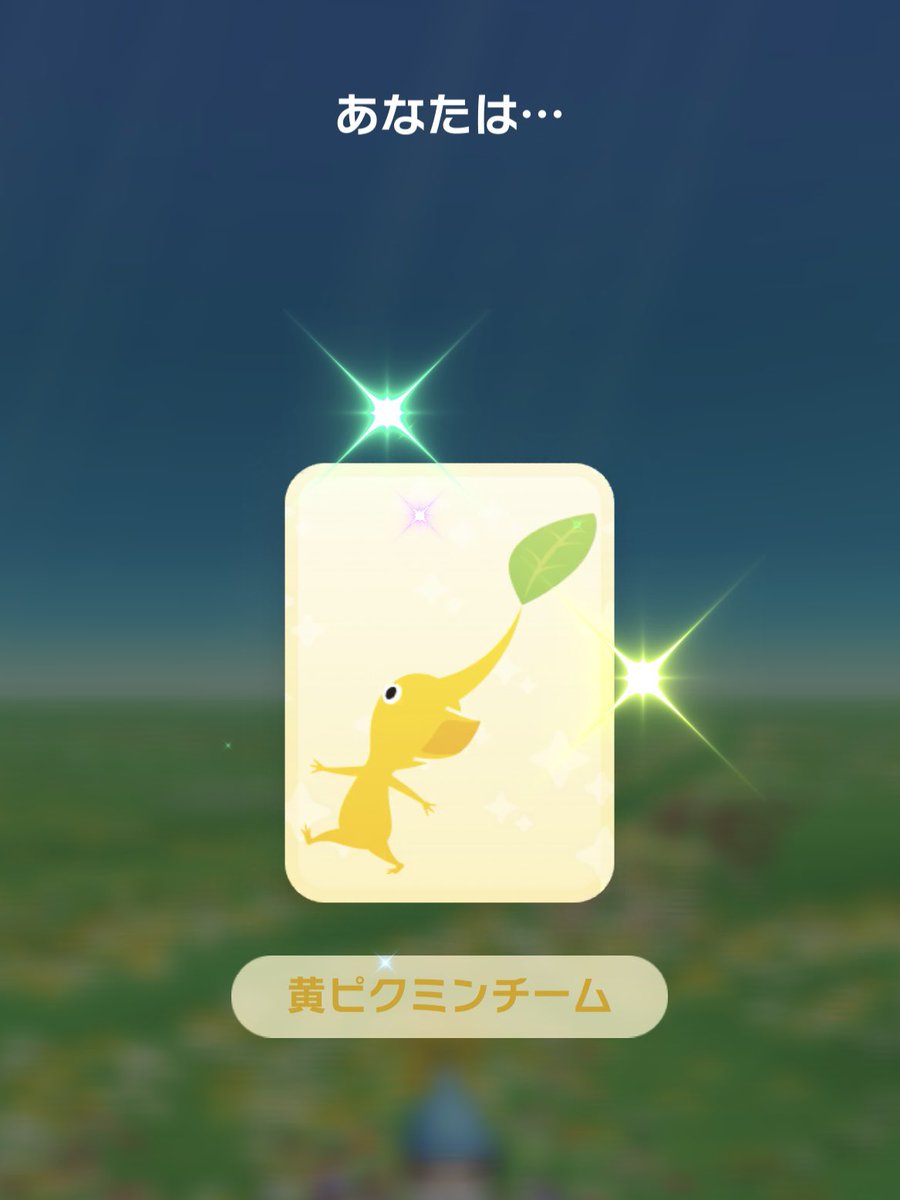urimaru7's tweet image. チーム分けは〰︎〰︎
黄ピクチームでした🟡🌱

#ピクミンブルーム
