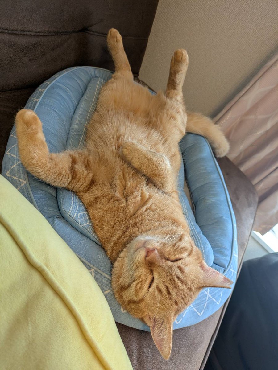 リンクスはメンテ中です