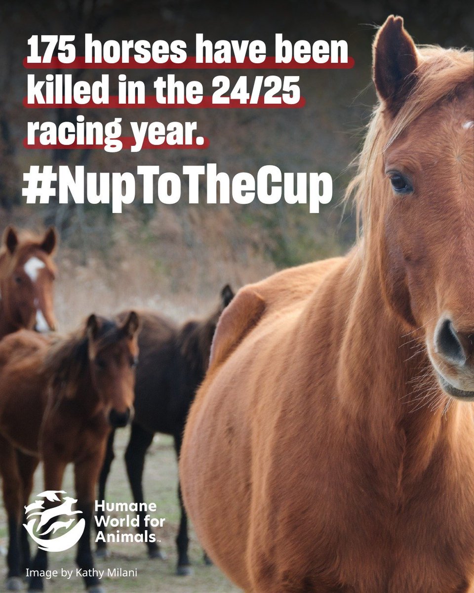 Evan Quartermain tweet media