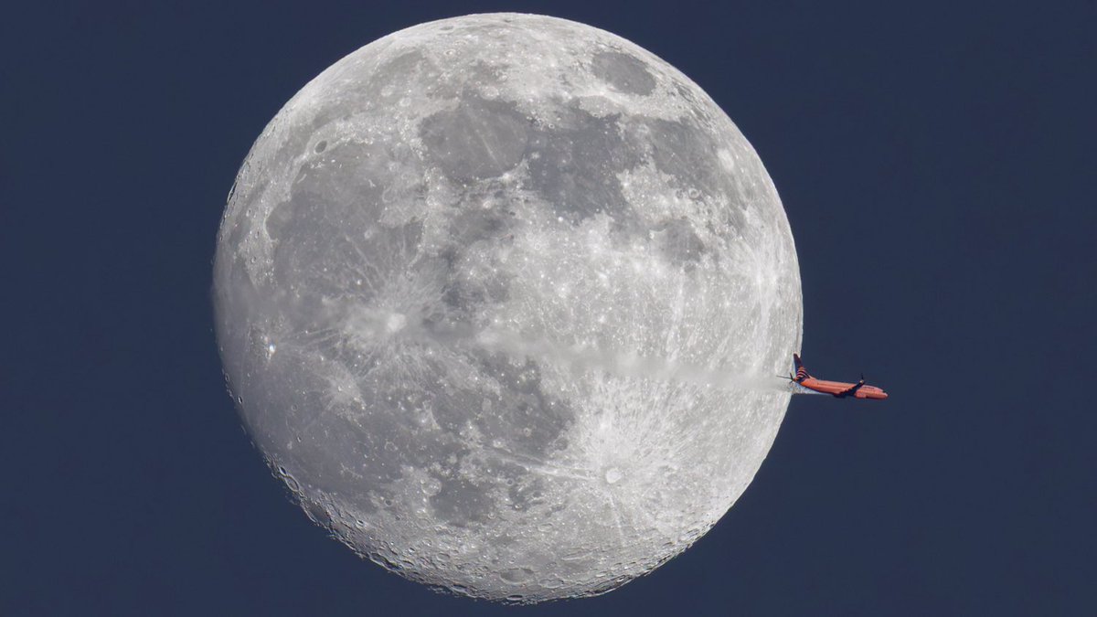 MikeSeeley's tweet photo. Bathed in the light of the setting Sun, that’s a Boeing 737-86N (HP-1726CMP) transiting the nearly full Moon Monday over the Space Coast. 

Copa Airlines 445 was traveling from Orlando (MCO) to Panama City (PTY) @ 19,250ft &amp; 389 kts. 

(📷:me; flight data:@flightradar24) https://t.co/icL9PVc43D