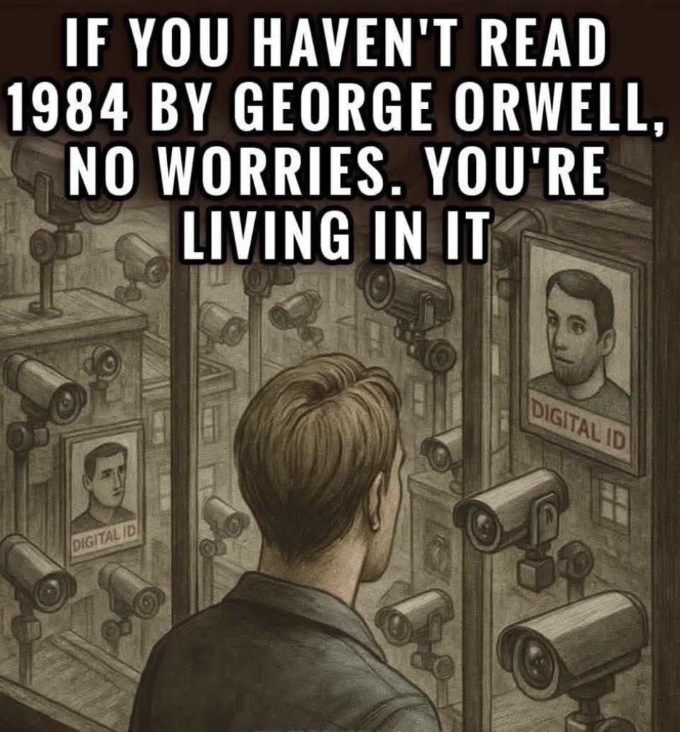 toobaffled's tweet image. 