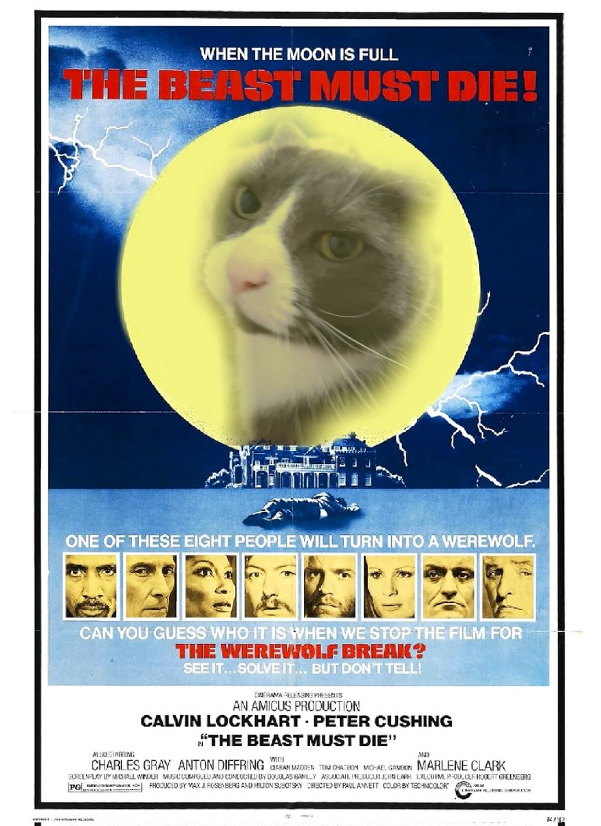 Velvet's movie debut 😂