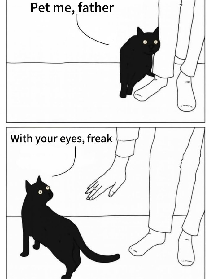 AndrewYoungAU's tweet photo. Cats 🙄 https://t.co/TKYeZOt7t8