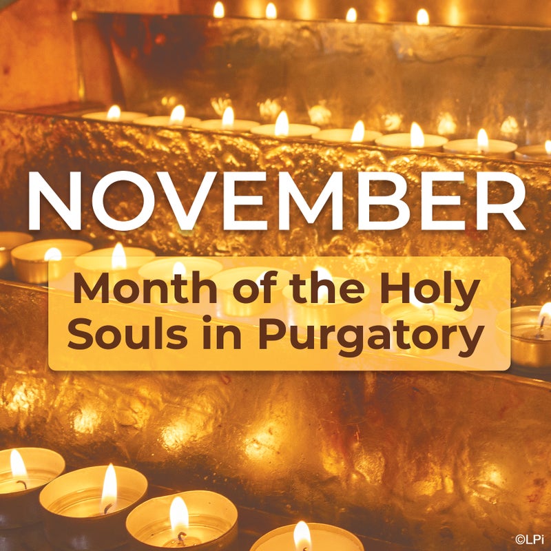 stmichaelhtx's tweet image. This past Sunday was All Souls’ Day. To honor this sacred feast, we pray for all of the souls in Purgatory who are being purified before entering into Heaven. 
Eternal rest grant unto them, O Lord, and let perpetual light shine upon them!