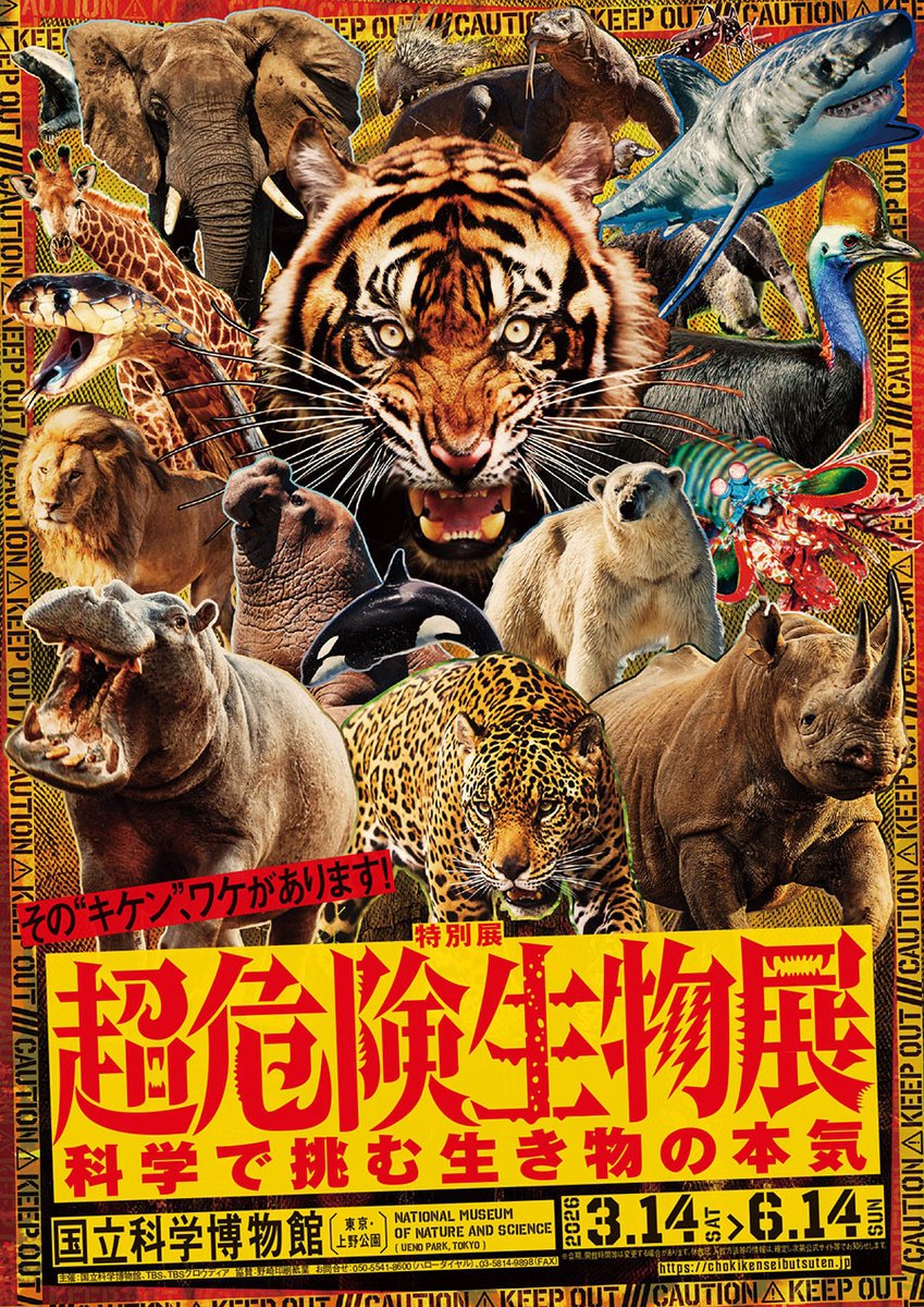 【チラシのインパクトも超危険】
国立科学博物館　特別展「超危険生物展　科学で挑む生き物の本気」
museum.or.jp/event/122011
「食うため」「身を守るため」に生物が身につけた“必殺技”の数々を、科学的な視点から解き明かす！
2026年3月14日～
#超危険生物展