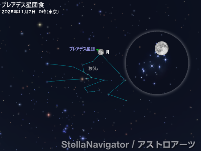 AstroArts's tweet photo. ┈┈┈┈┈
アストロアーツ 
今週の星空情報  
┈┈┈┈┈
🌝11/5（水）満月（ビーバームーン／今年最大の満月・スーパームーン）
 　おうし座南流星群
✨11/6（木）月＋プレアデス星団 大接近～食
☄️11/8（土）レモン彗星が近日点通過
⭐️天王星＋プレアデス星団

星空ガイド▶https://t.co/RUe7NsBLID https://t.co/xlU48pZNiZ