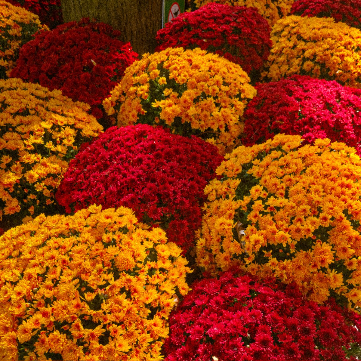 Mark Claudio tweet media