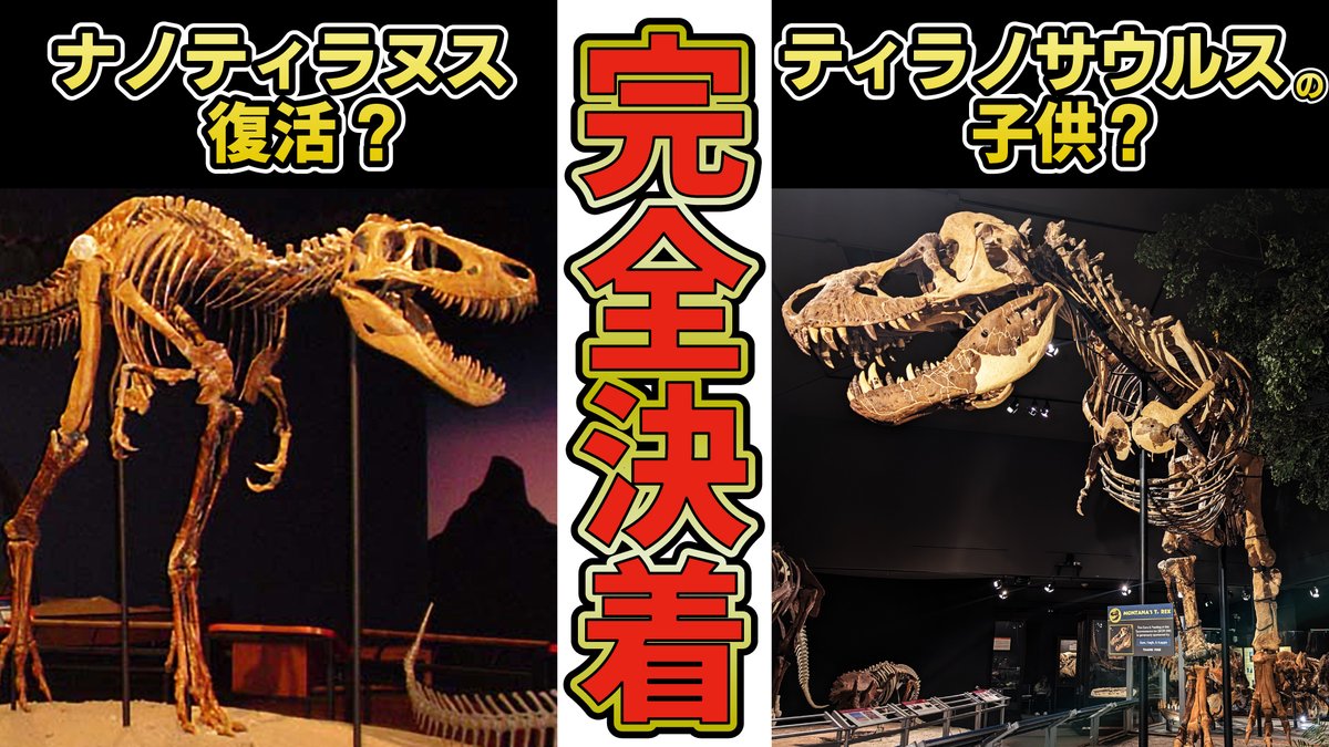 ♡オーダー♡木の恐竜☆名前入り☆ ♡オーダー♡木の恐竜☆名前入り☆ 楽天市場】＼全商品3～6倍！／ノブ