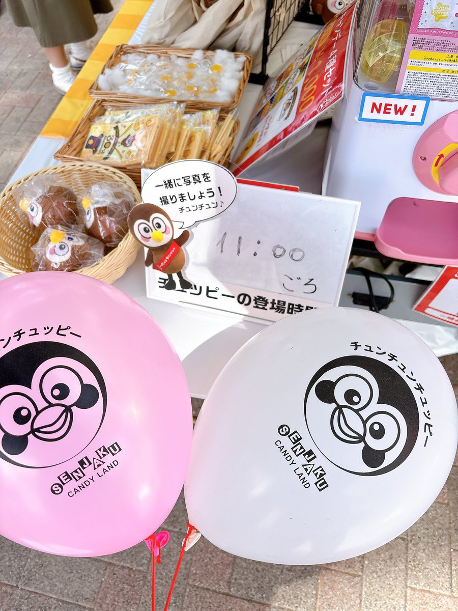 そろそろぼくのグリーティングが始まりますよ🐥📸チュンチュン🎶