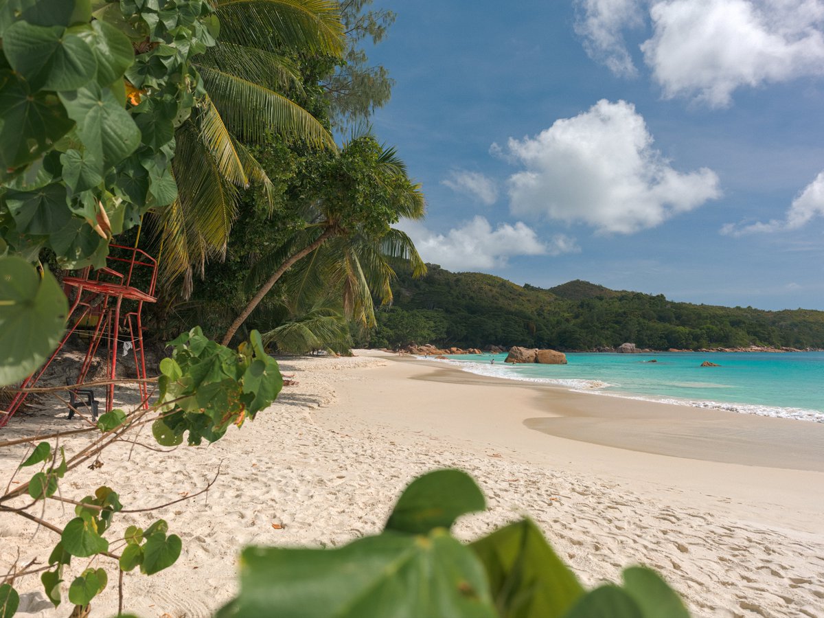Tap, hold, and load in 4k.

📷 Hasselblad X2D 100C • XCD 28P
🏝️ Anse Lazio - Praslin Island