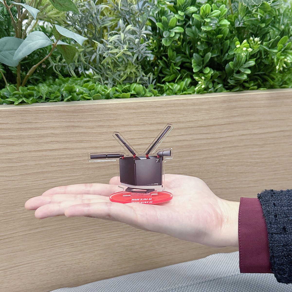 hiro☆(プロフの確認お願いします) ●バッファロー●シルバー・ゴールド ヘプコ&ベッカー バッファロー / Buffalo