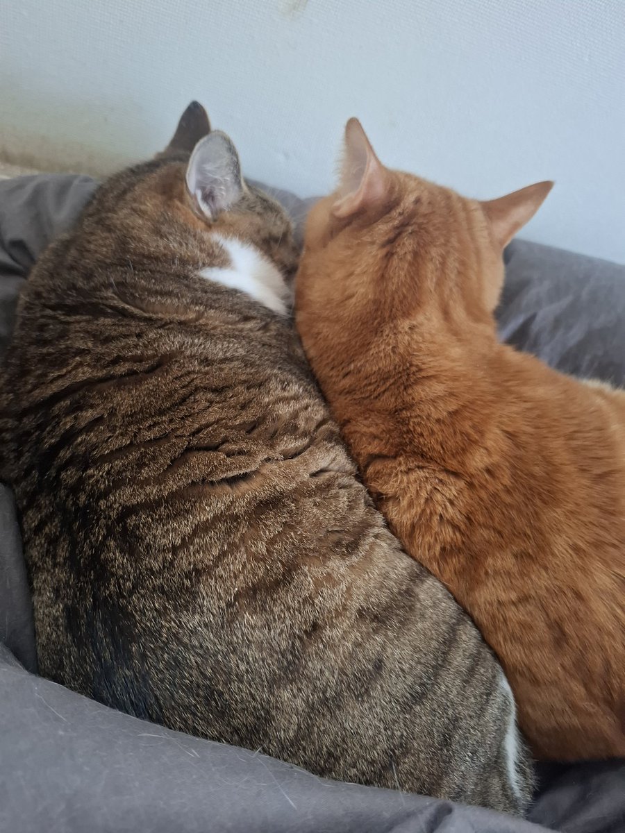 なんかいちゃついてる