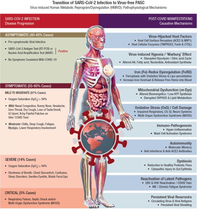 catmandont tweet media