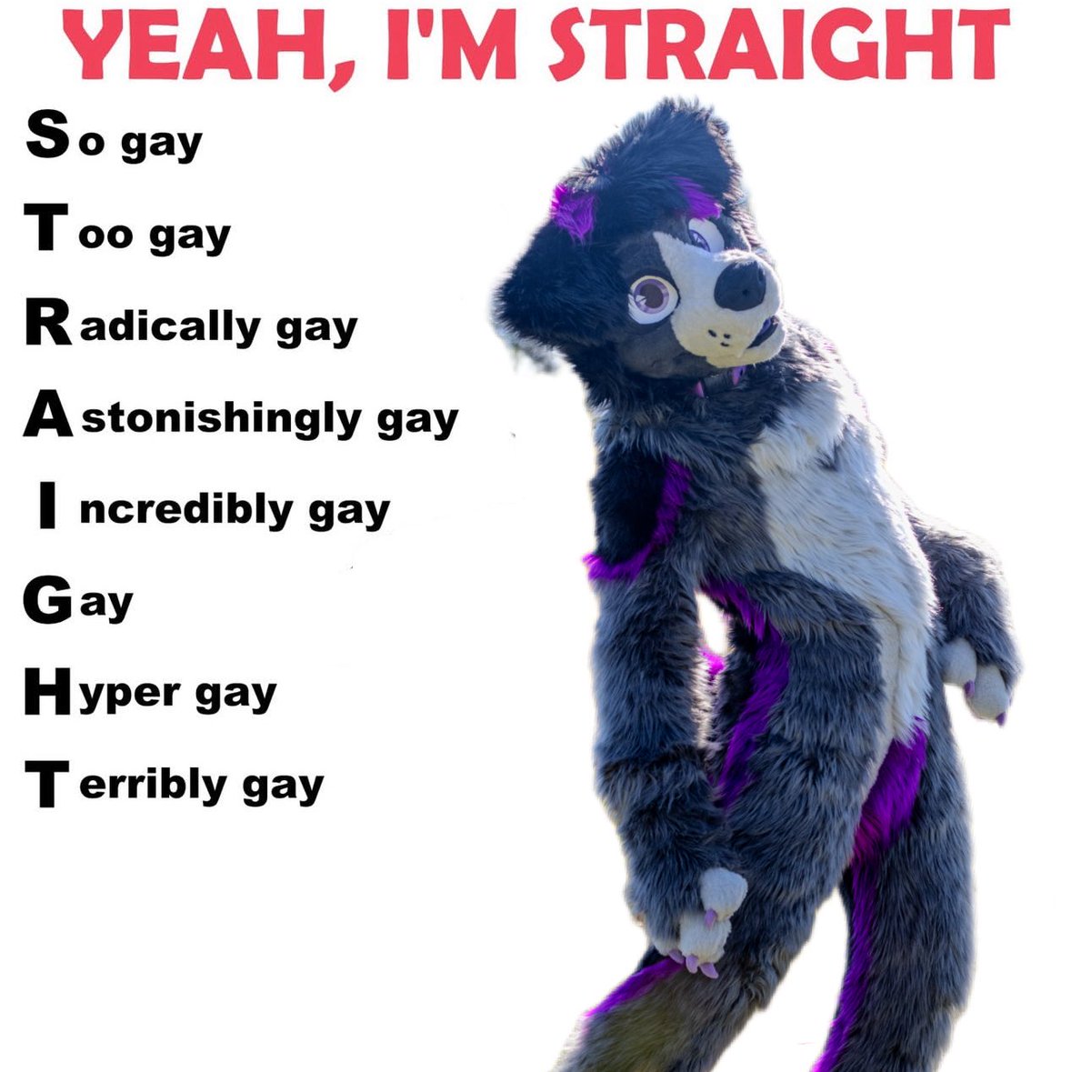 🐾Ringo🐾 𝑨𝑫🔞 (@ringohyena) on Twitter photo 