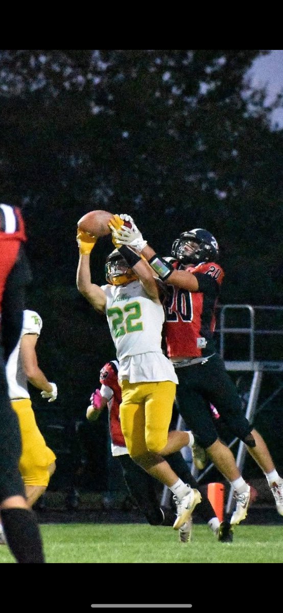 Shepherds tweet media