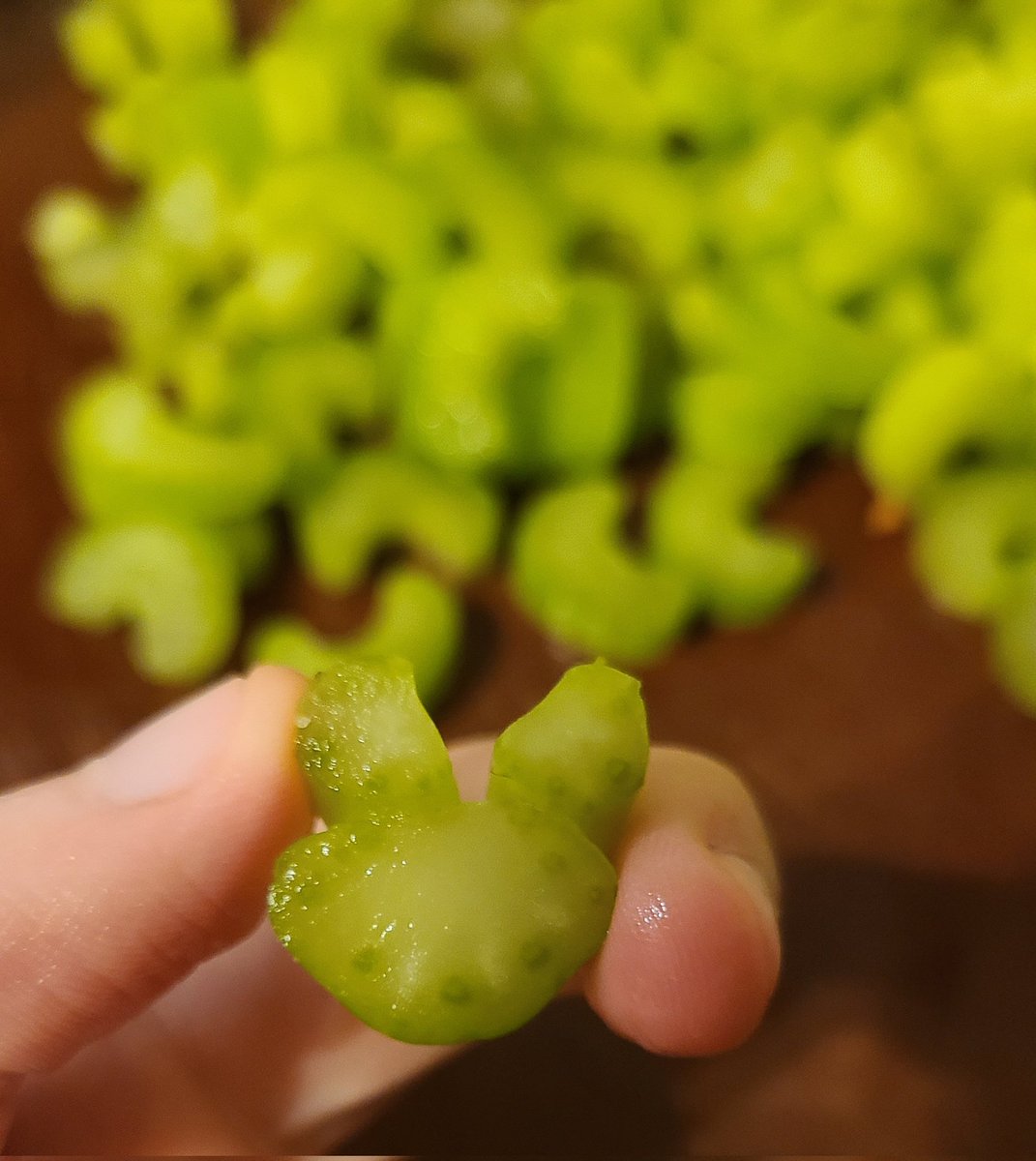 This celery is just a lil guy 🥺