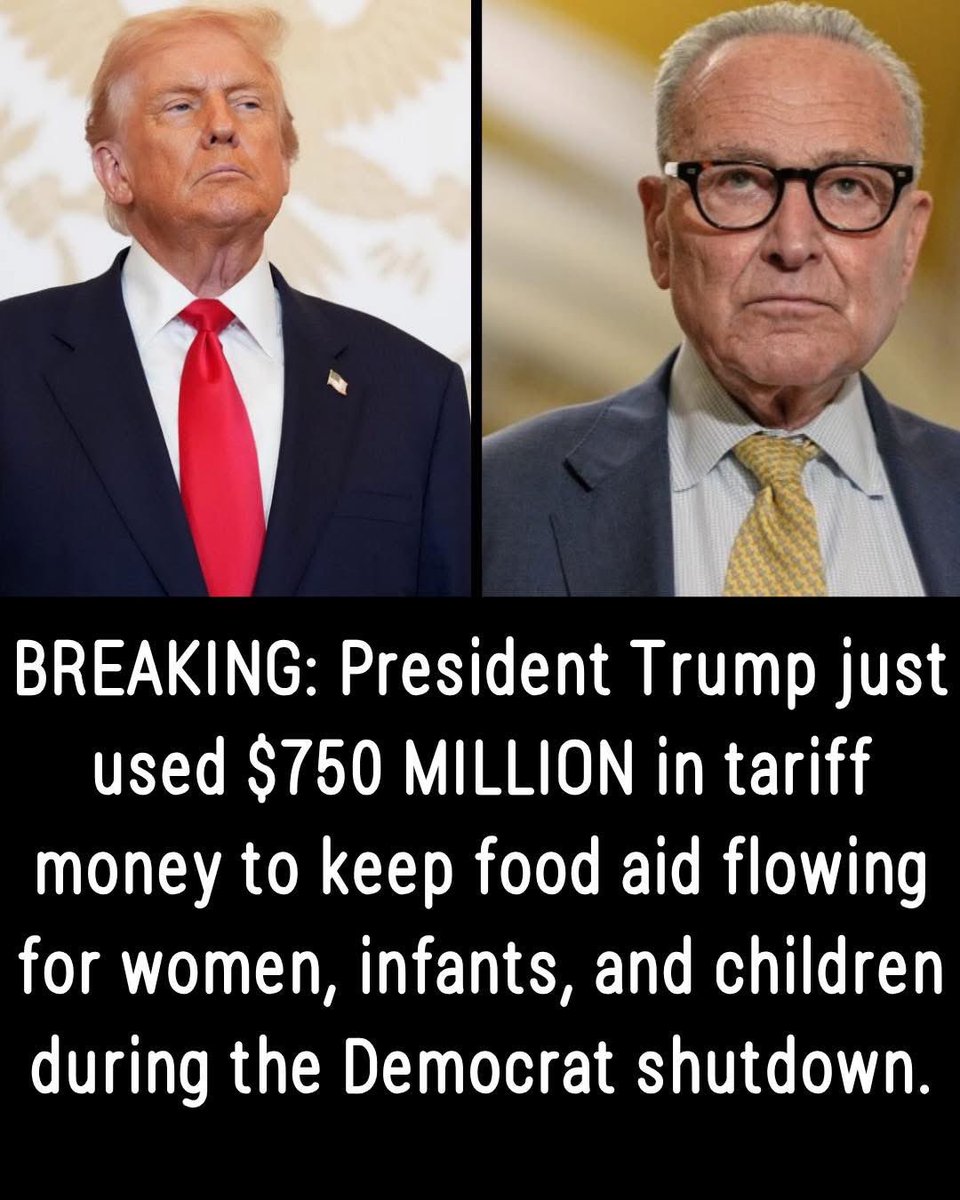 Lynn Gale tweet media