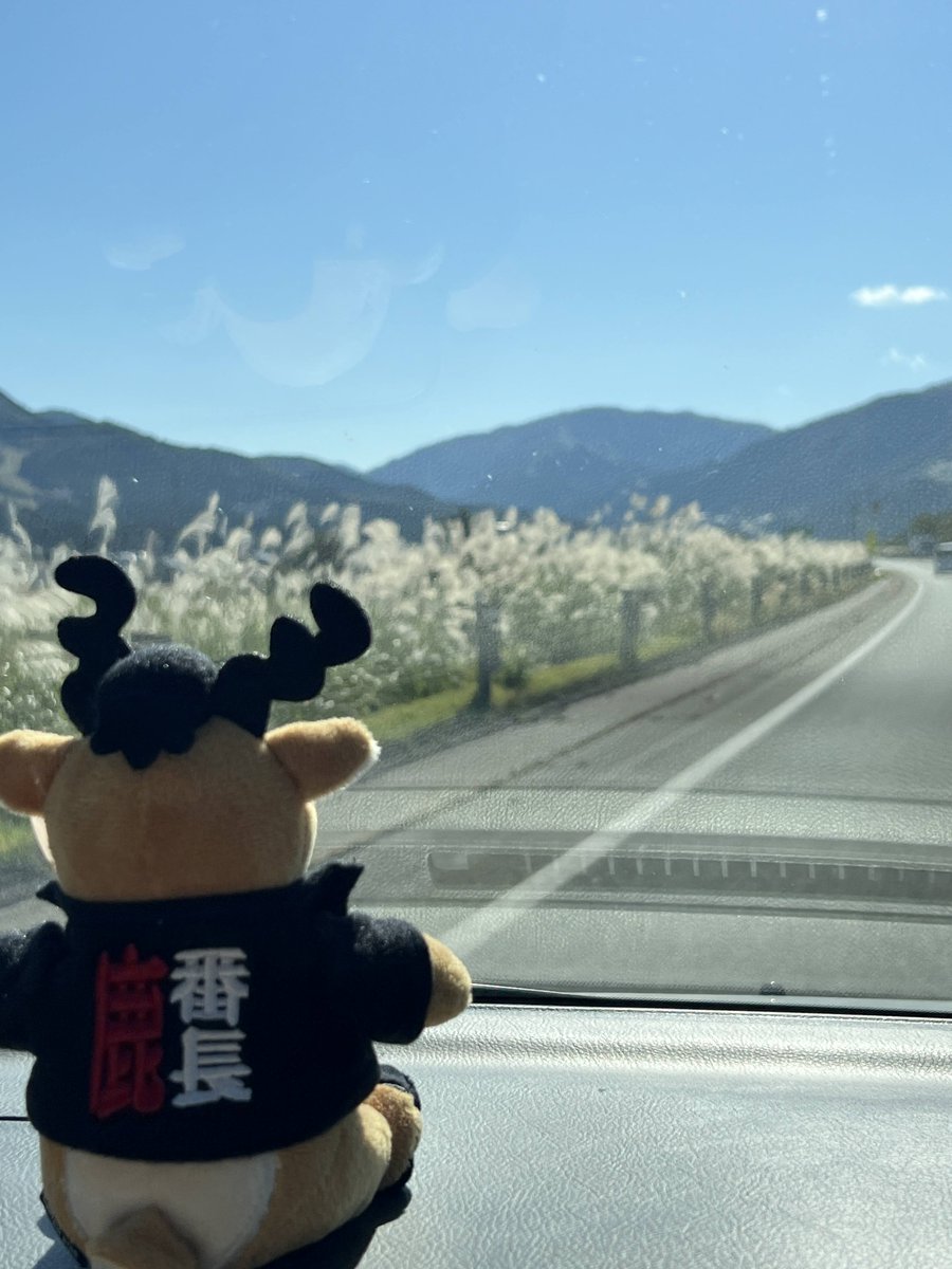 鹿番長（キャプテンスタッグ 公式） (@shikabancho) / Posts / X