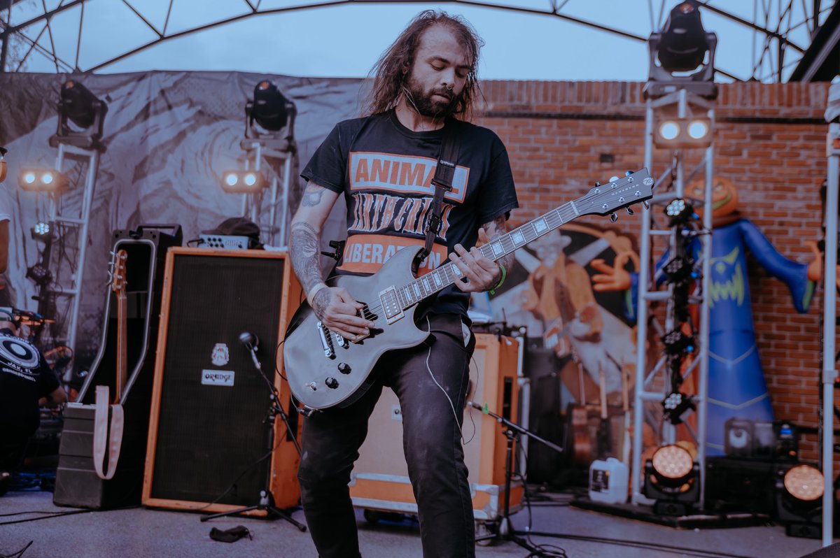 nick zimmer tweet media