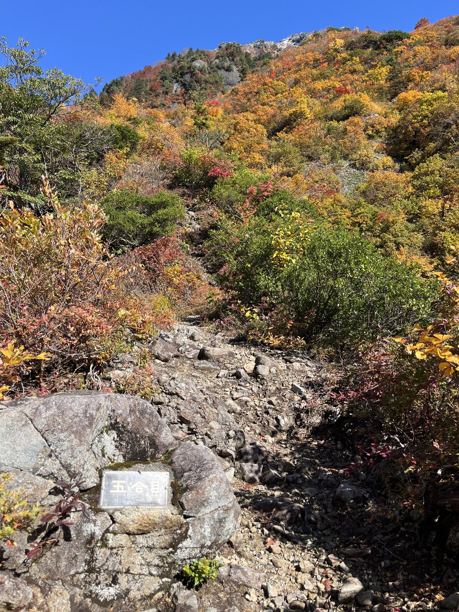 山と自然 Climbing Aoyama Plateau via a back road… turns out to be a