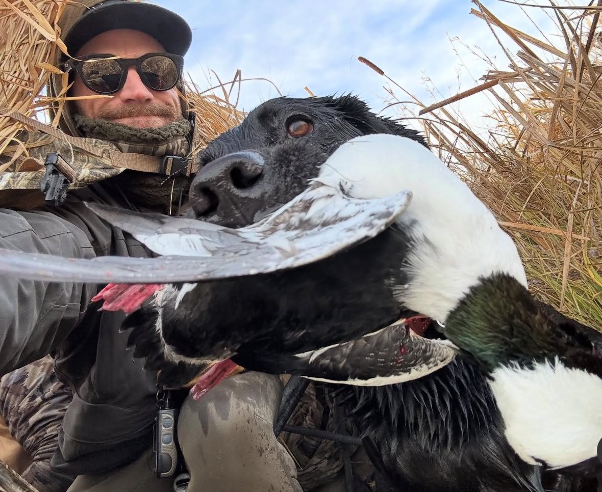 rice_chase_ACM's tweet image. Happy Halloween yall 🦆🦆🪿