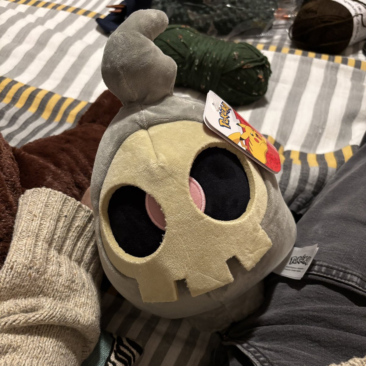 Say what you want about me, but don’t you DARE disrespect my son. 🐻🦴