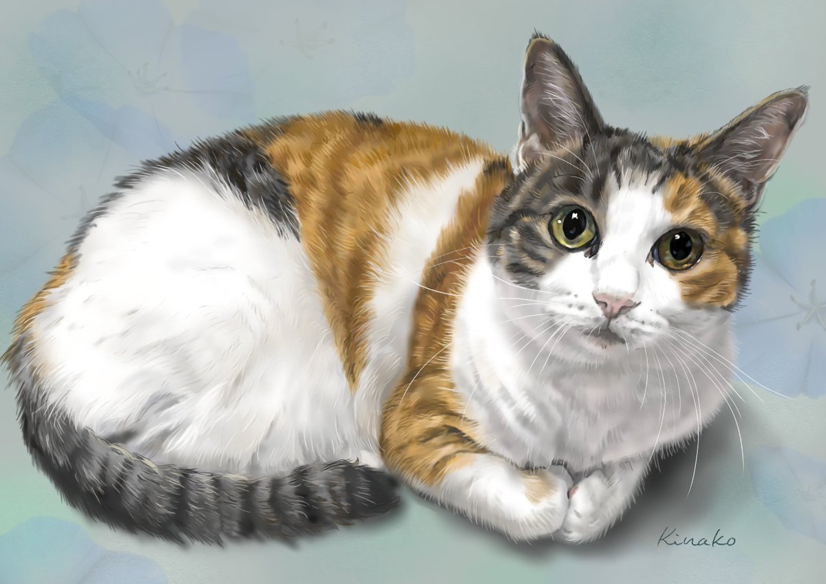 91rudo's tweet image. 絵が完成しました✨
ソレイユさんの、三毛猫のココちゃん🐾
保護されて家族になって９か月。みんなとの距離も縮んでいます。
暖かいお家でゆったり過ごしています。
＃保護ねこ　＃三毛猫　＃猫絵