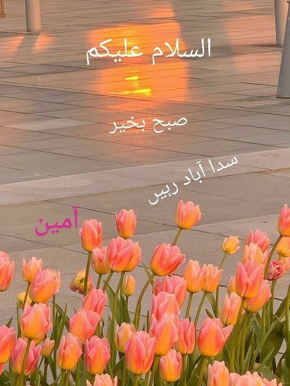 السلام علیکم 
کسی چیــــــــز سے آپـــــــــ کو  پناہ مانگنے کی* *ضرورتـــــــــ ہے  تو وہ انسانی محتاجگی ہے اللہ الرحمن الرحیم کسی کو کسی انسان کا محتاج نہ کرے  یہ بڑی ذلتـــــــــ ہے  کیونکہ انسانوں کی اکثریتــــــــ کم ظرفــــــــ ہے*
#داستان_دل