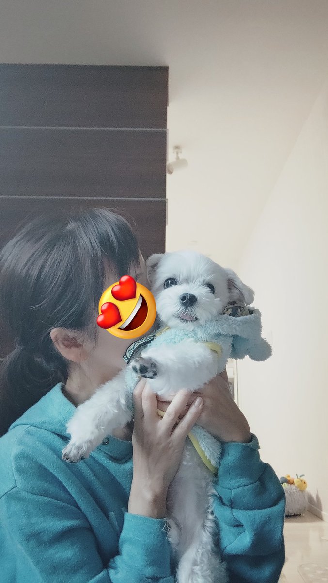 にこまるページ にこまる (@6yQgZFNMNk76215) / Posts / X