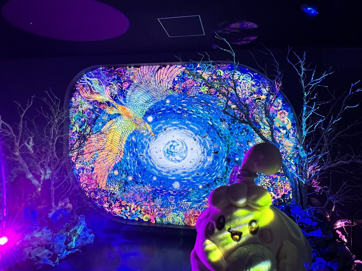 とみー🍊わどちのいる生活 on X