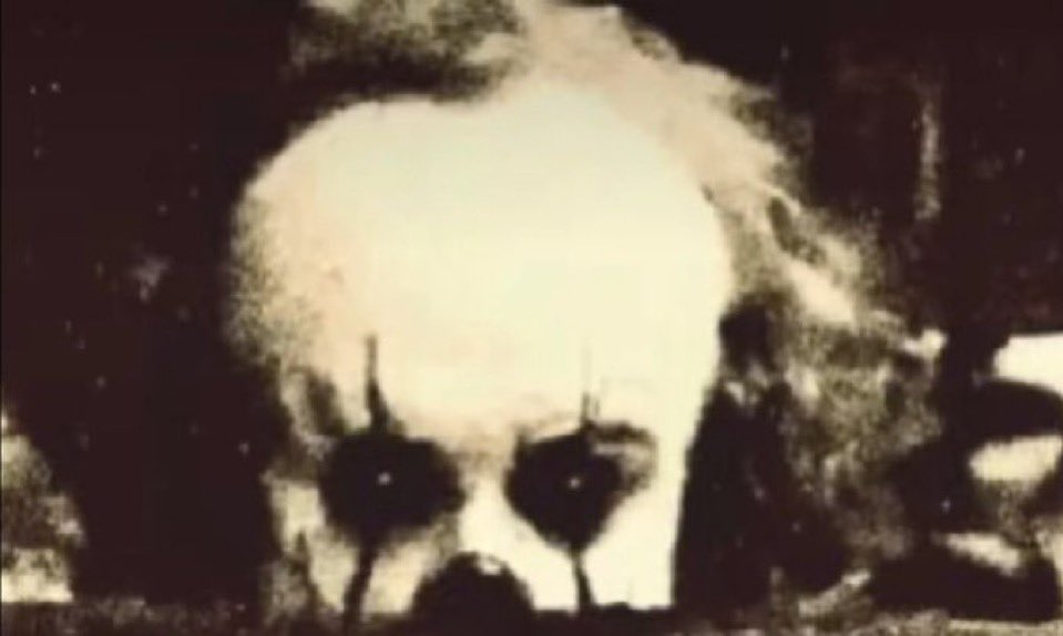 eds 🍉 IT FANDOM BACK ?? tweet media