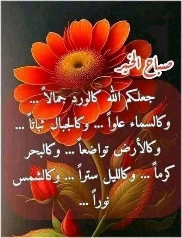 امامك اختياران في الحياة 
أن تقبل الظروف كماهي
او ان تقبل مسؤلية تغيير
هذه الظروف