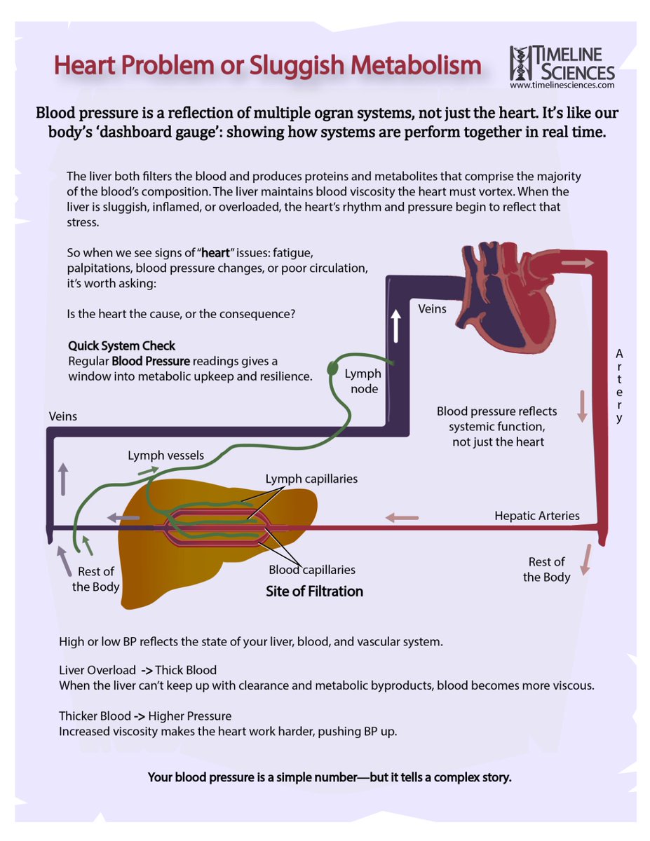 TimelineScience tweet picture