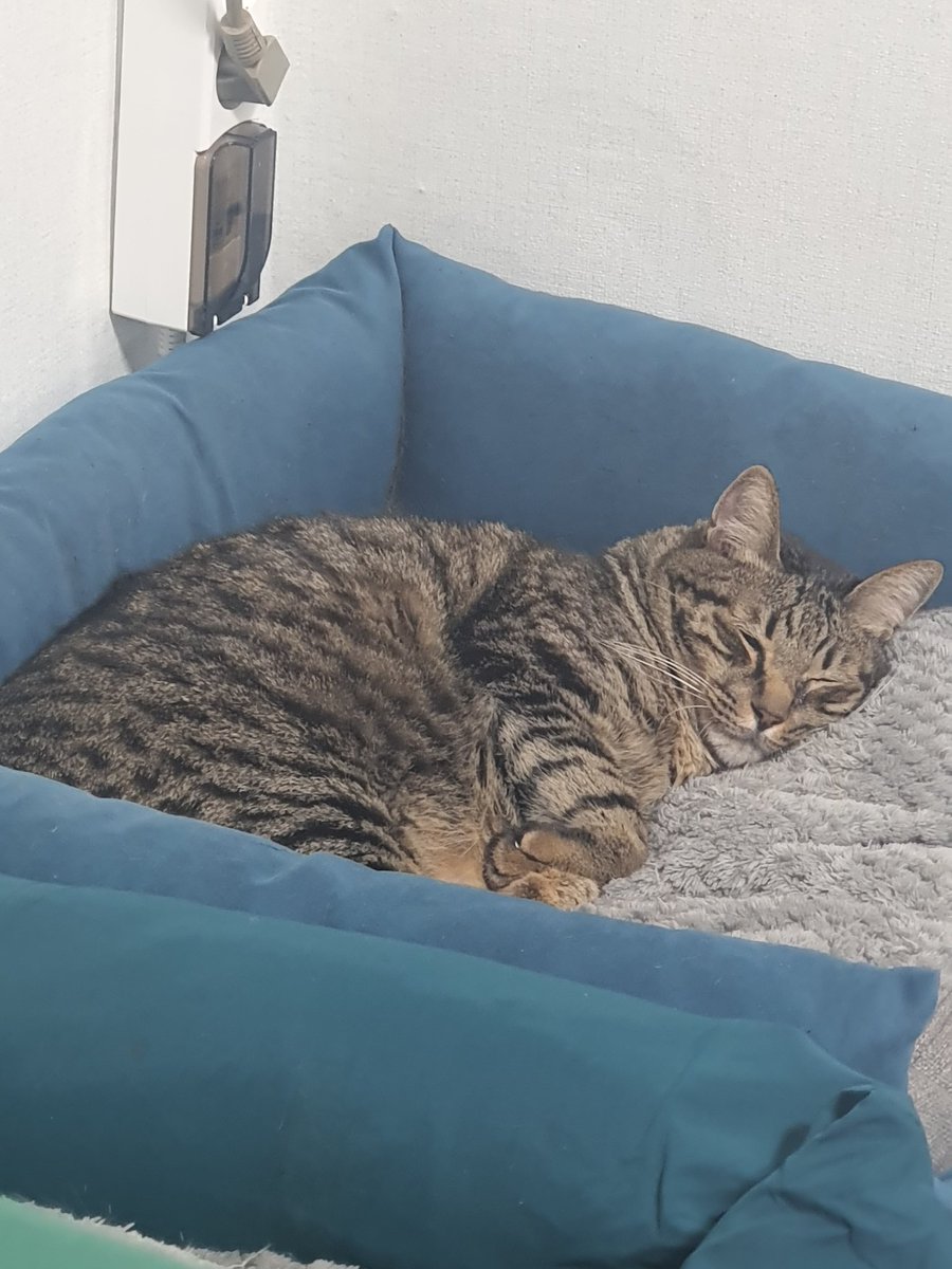 LOEY(로이) (@summer_loey) on Twitter photo 