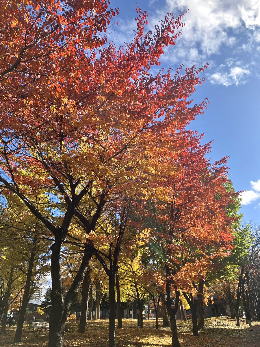 ワンダーランドファクトリー　[休憩] Brand New 1kz-T Engine Cylinder Head Complete 11101-69126