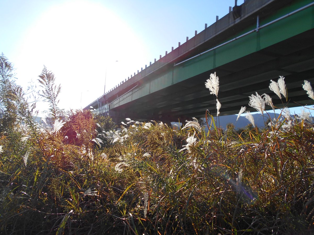요즘 디카에 빠졌어요📷