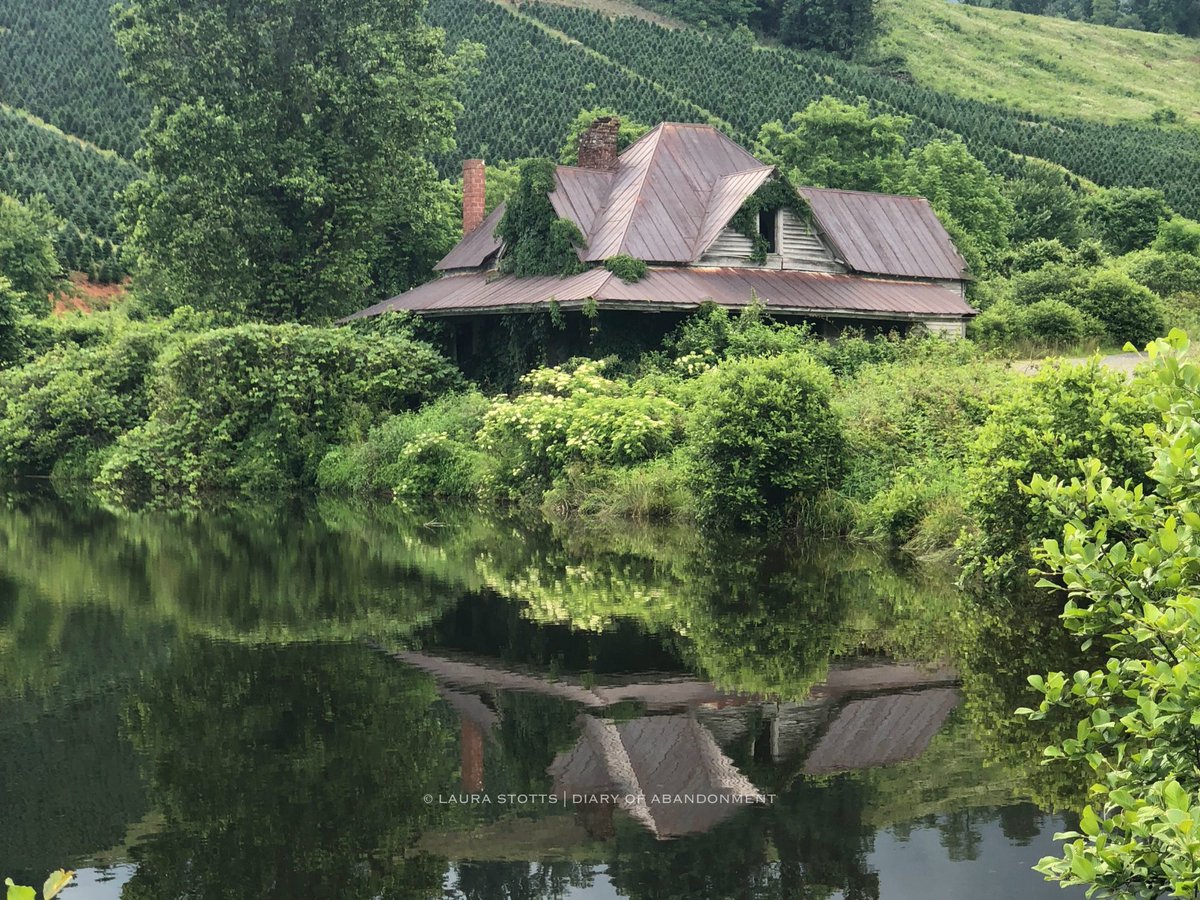 I don’t believe in hauntings, but I do believe in the love that once lived there—eternal, almost tangible. 

As if I could reach out and brush the hem of a mother’s apron as she stands at the kitchen window, watching her children chase frogs and pick dandelions in the tall grass.