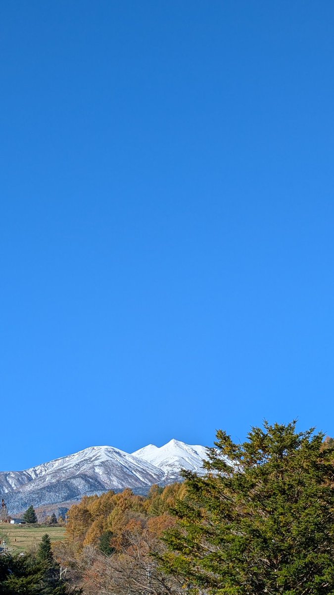 PEEPOLO8's tweet photo. いっそう白くなりました☺❄
まるで冬毛のライチョウのよう https://t.co/Tji2K3ktLd