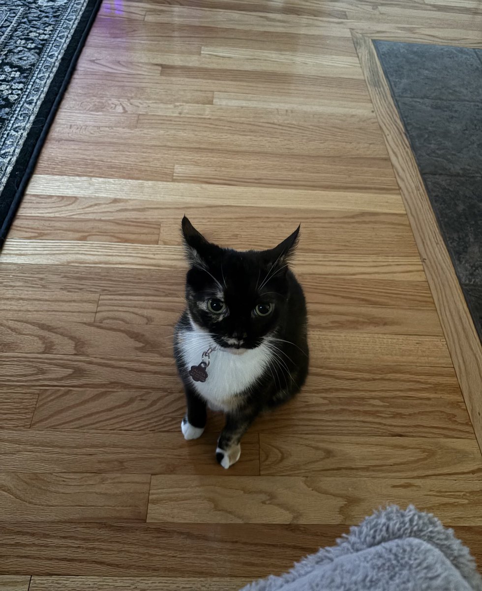 cubedacat's tweet image. How do I explain daylights savings to her