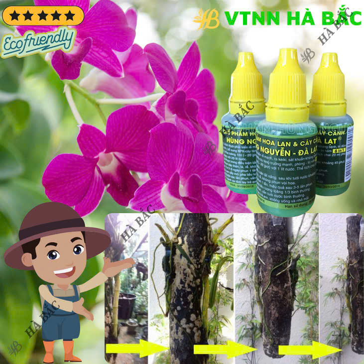 DTH_77Hung's tweet photo. SIÊU PHẨM 6 TRONG 1 CHO HOA LAN! 🚀
CHẾ PHẨM HÙNG NGUYỄN 
✅ Kích rễ, Keiki, bung mầm. 
✅ Tăng trưởng mạnh, xanh tốt. 
✅ Phục hồi cây yếu, sát khuẩn nhẹ.
Chai 20ML tiện lợi, hiệu quả toàn diện!  

#HùngNguyễn6in1 #ChếPhẩmLan #KíchRễ #KíchKeiki #HoaLan https://t.co/E1XaXC6Hkj