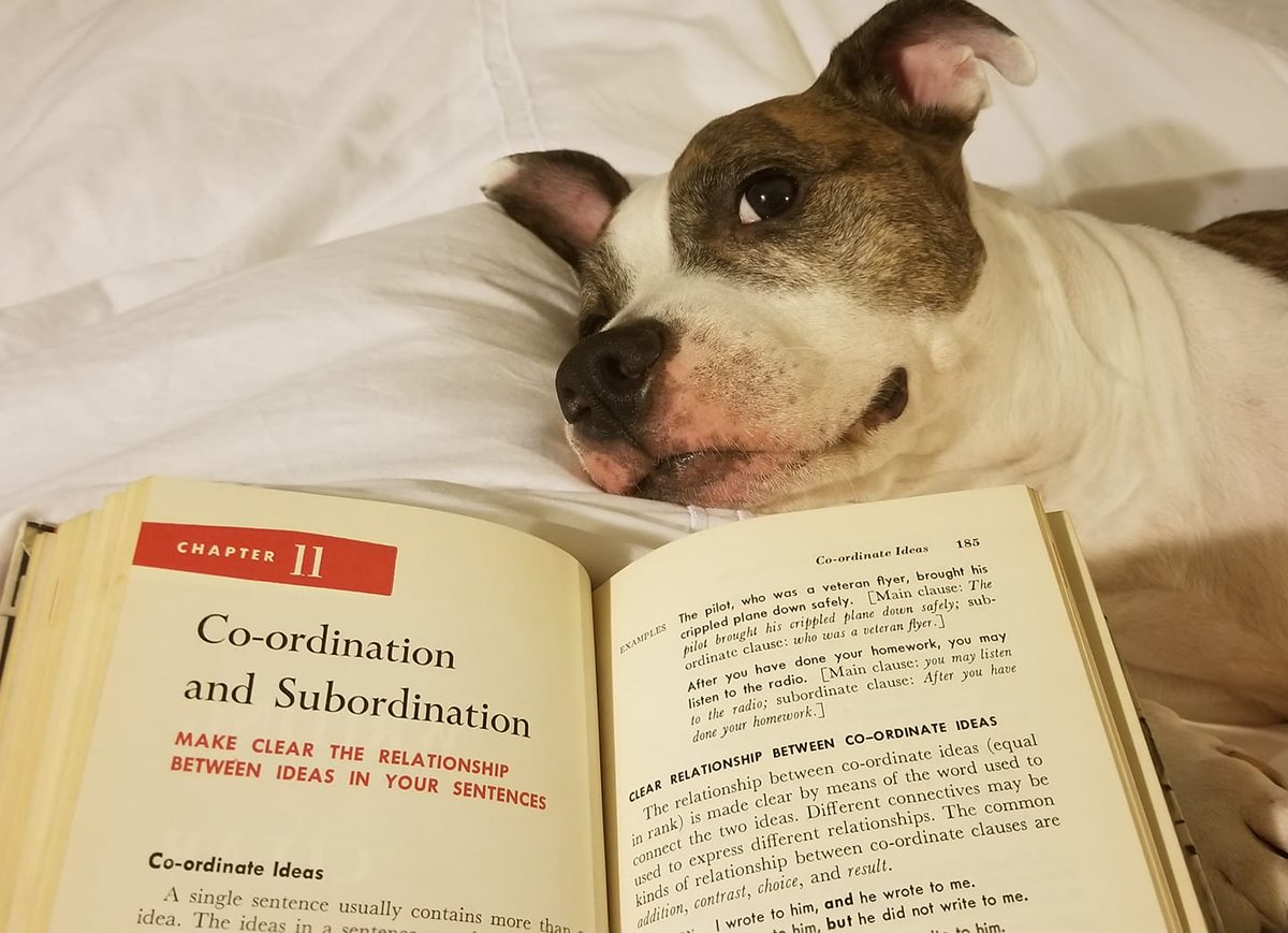 On 29 October 2025, 3I/ATLAS was moving at its maximum speed of 68 km/s (42 mi/s) with respect to the Sun. That's 151,200 MPH. If the comet ran across the Earth like a dog, then 151,200mph/24,901miles = 6.07 (laps around the Earth in an hour)
#deck16 #unreal